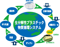 バイオマスプラスチック