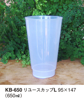 KB-650