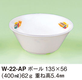 W-22-AP