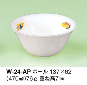 W-24-AP